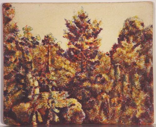 Trees - Evergreen, yellow and red