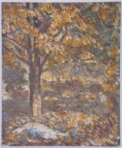 Tree and Rock