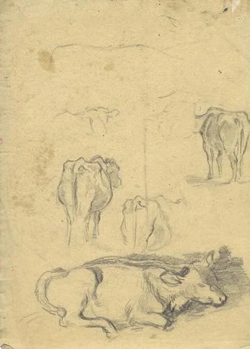 [untitled]