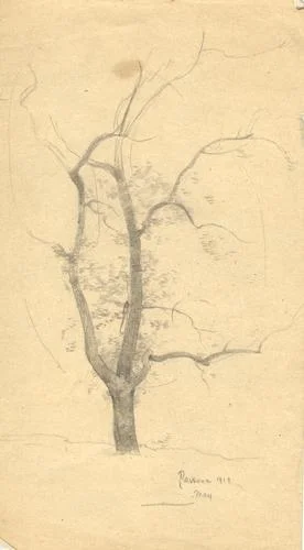 Flowering Tree