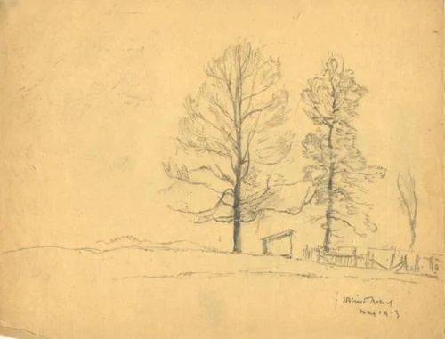 Two Trees